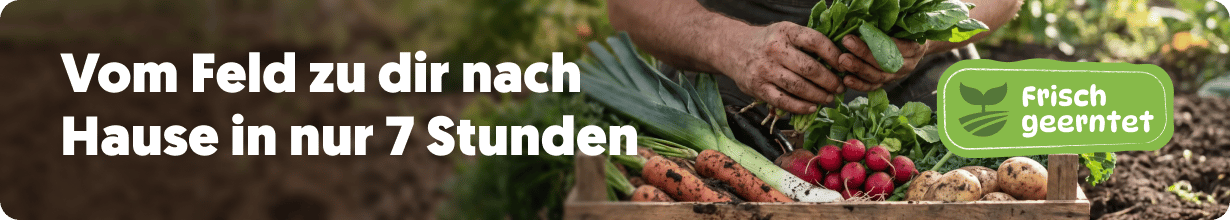 Frisch Geerntet: Direkt vom Feld zu dir