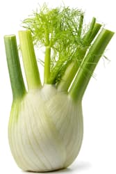 Fennel