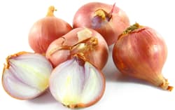 BIO Shallot onion in a net