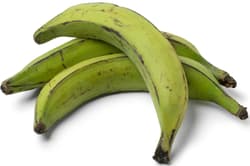 Plantain
