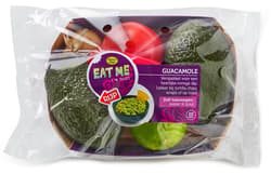 Guacamole Mix