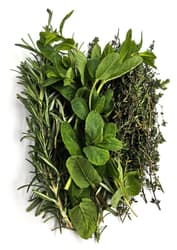Altschachl Cocktail Herbs: Rosemary, Mint, Thyme