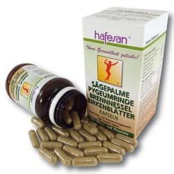 Hafesan SÄGEPALM KAPSELN + Pygeum + Brennnessel + Birkenblätter