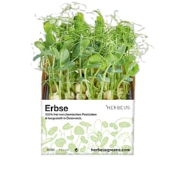 Herbeus Pea Sprouts