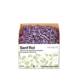 Herbeus Red Mustard Sprouts
