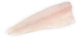 Fish? Fresh! Zanderfilet mit Haut