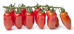 Blün Mini San Marzano Paradeiser