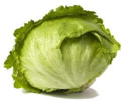 BIO Iceberg Lettuce