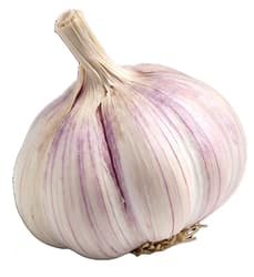BIO Knoblauch