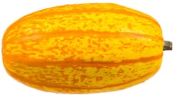 BIO Kürbis Spaghetti