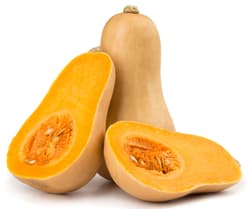 BIO Butternuss Kürbis "Sonca"