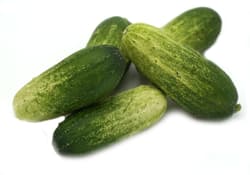 Mini cucumbers bicoloured