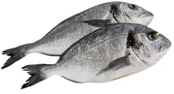 FJORU ASC Dorade im Ganzen - Family Pack