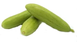 Mini cucumbers fine
