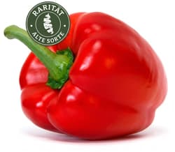 BIO Paprika-Rarität Ferrari, rot