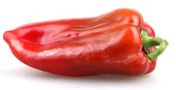 BIO Spitzpaprika Rarität "Roter Bulle"
