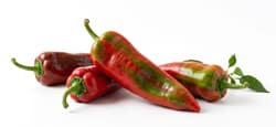 BIO Pointed sweet pepper, green