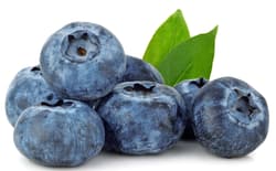 Sonnenobst Habeler Heidelbeeren