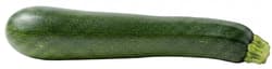 BIO Zucchini XXL, lose