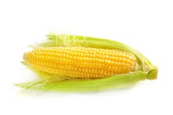 Sweetcorn
