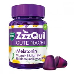 Wick ZzzQuil Gute Nacht Waldfrucht
