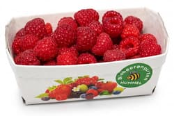 BIO Raspberries