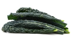 Black cabbage - Palm cabbage