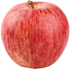 Apple Gala