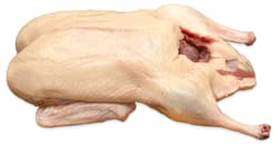 ready-to-grill whole bio duck