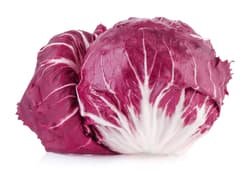 Michi Bauers Radicchio