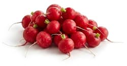 Snack Radieschen