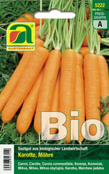 Austrosaat BIO Karotte Nantes