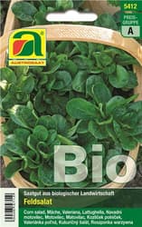 Austrosaat BIO Feldsalat Vit Saatgut
