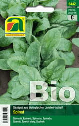 Austrosaat BIO Spinat Winterriesen