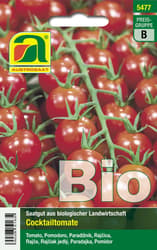Austrosaat BIO Paradeiser Zuckertraube