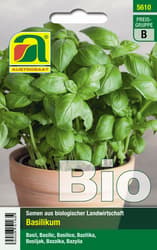 Austrosaat BIO Basilikum Hohes Grünes