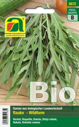 Austrosaat BIO Rucola selvatica