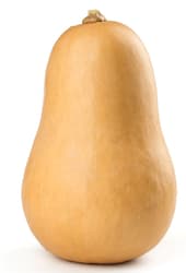BIO Kürbis Butternuss