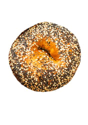 Budapest Bagel Vienna All Everything Bagel