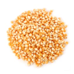 Kraftladen's BIO Popcorn-Mais