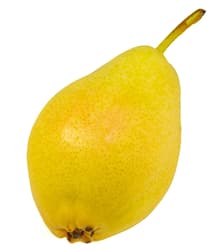 Pear Santa Maria