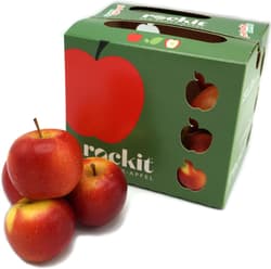 Apple Rock It - Snack