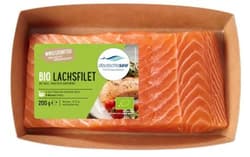 German Sea BIO Salmon fillet with skin