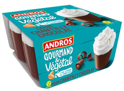 Andros Gourmand&Vegetal Chocolate with Topping 4x90g VEGAN