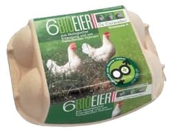 Die Eiermacher BIO Eier L 6er