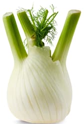 BIO Fennel