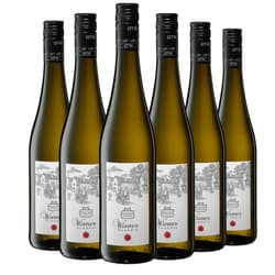 Mayer am Pfarrplatz Wiener Klassik 2025 6er Karton