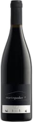 Winery Martin Pasler Zweigelt Wild 2015