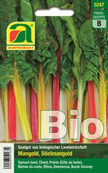 Austrosaat BIO Chard Fireworks