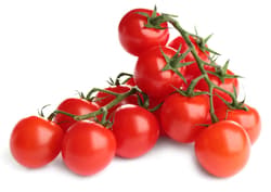 BIO Wiener Cherry an der Rispe